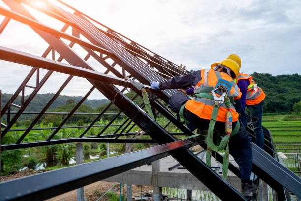 Best Storm Damage Roof Repair  in Rochelle, IL