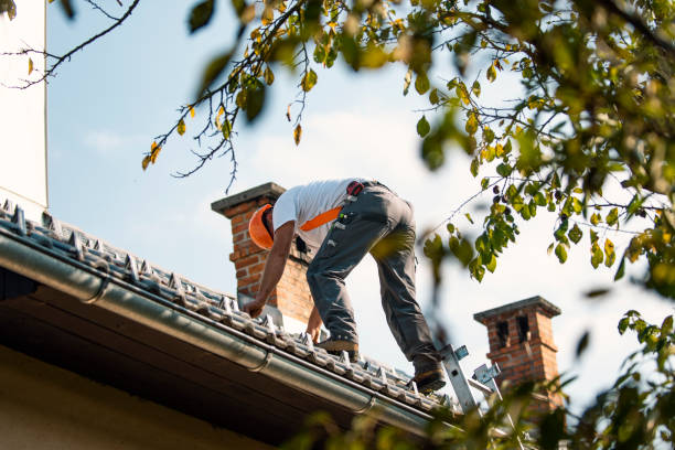 Best Flat Roof Repair Services  in Rochelle, IL