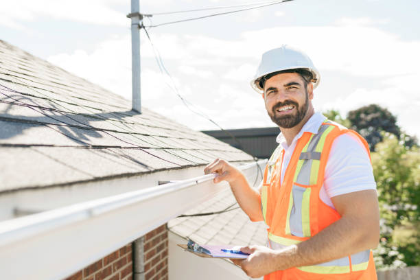 Best Commercial Roofing Services  in Rochelle, IL
