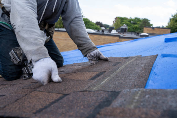 Roof Waterproofing Services in Rochelle, IL