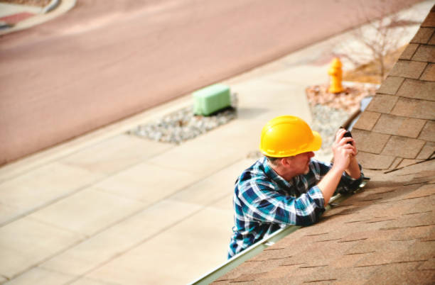 Best Roof Gutter Cleaning  in Rochelle, IL