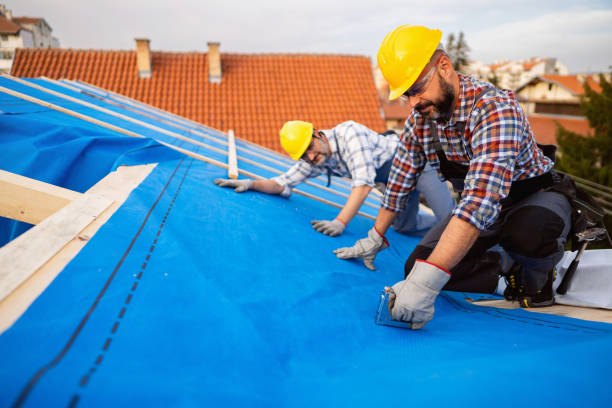 Sealant for Roof in Rochelle, IL