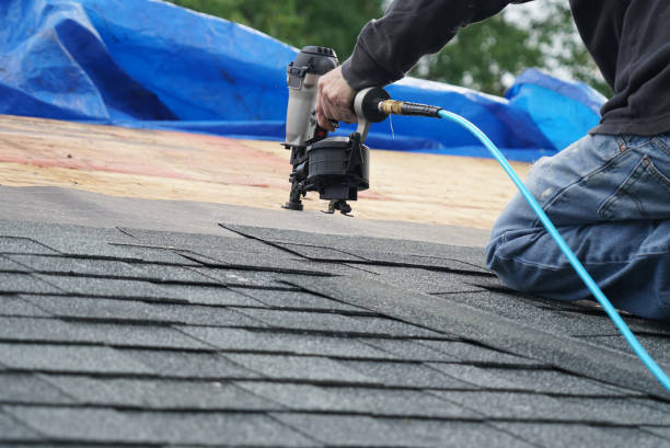 Best Metal Roofing Contractor  in Rochelle, IL