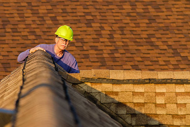 Best Slate Roofing Contractor  in Rochelle, IL