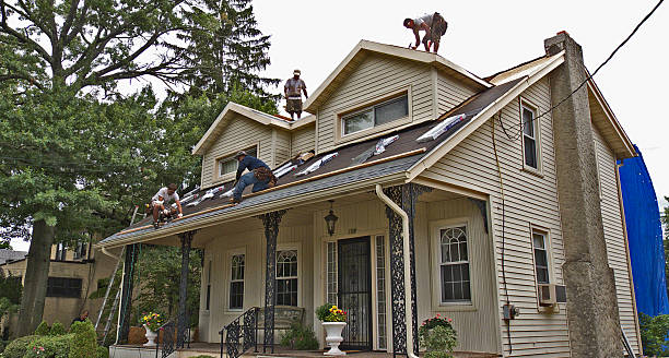 Best Roof Replacement Cost  in Rochelle, IL