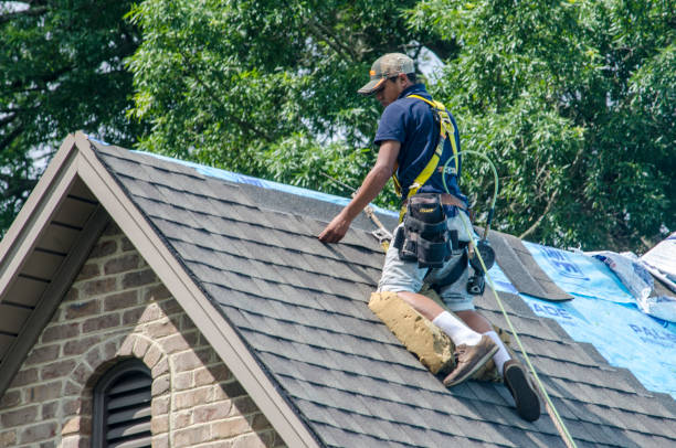 Best Best Roofing Contractors  in Rochelle, IL